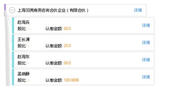 上海羽亮商務咨詢合伙企業——專業商務咨詢的有限合伙模式
